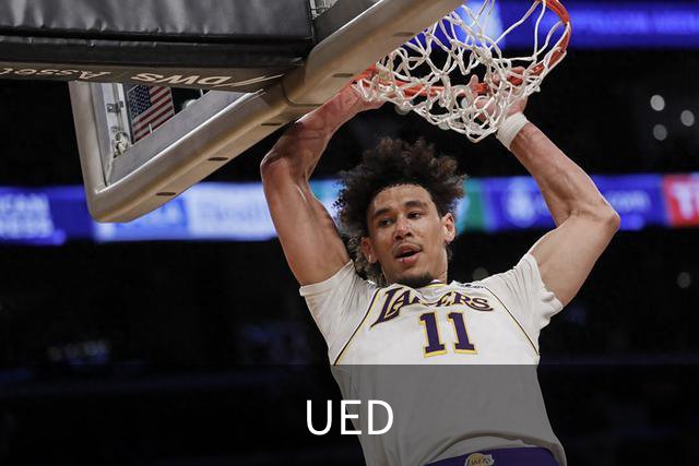 UED 公司简介